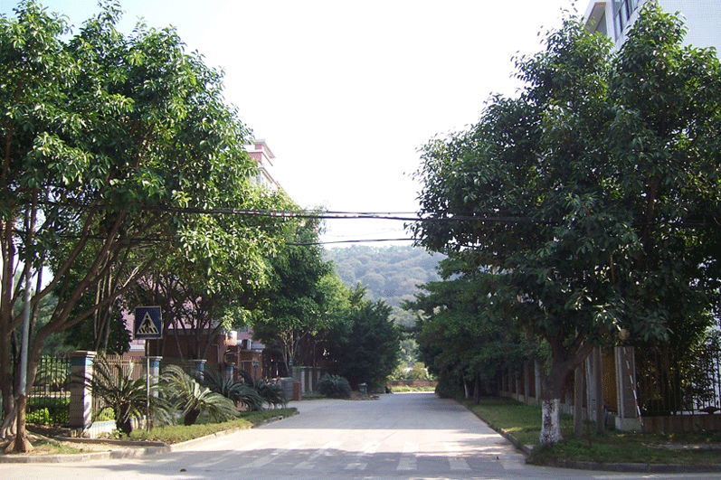 Green byway in the  fornt of factory