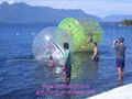 Inflatable Water Toy: Human Water Roller Rolling Ball.