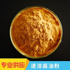 instant soy sauce powder