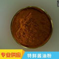 soy sauce powder 1