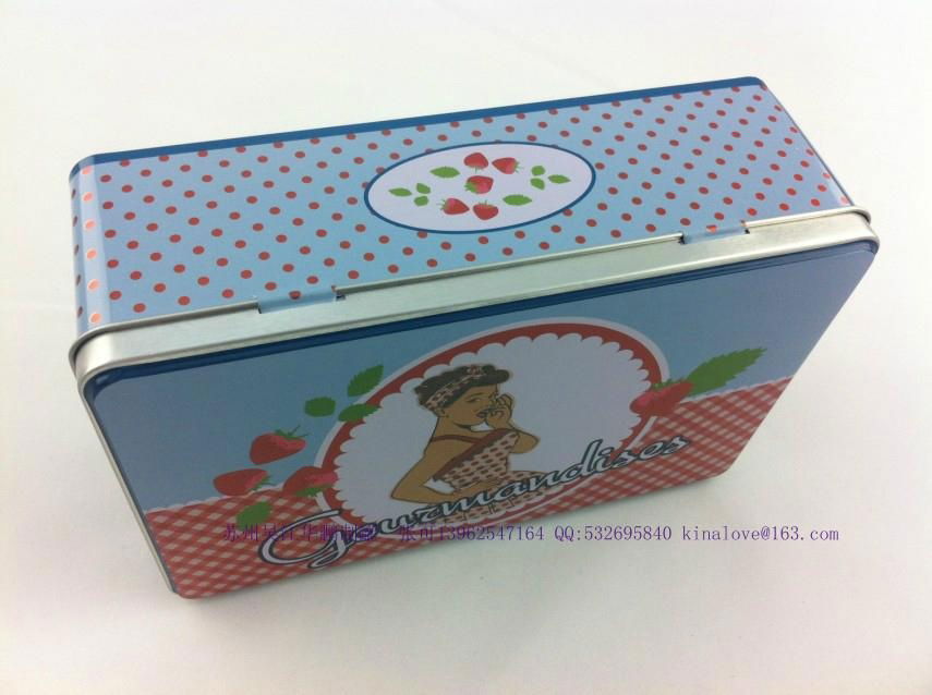 food tin box for cookie 3