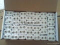 lithium 9v battery, 9v lithium battery 600mAh 4