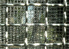 CRIMPED MESH