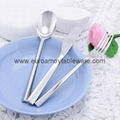 Stainless Steel Flatware Set, Perfect