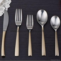 Golden Stainless Steel Flatware CT-138