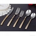 Golden Stainless Steel Flatware CT-138  2