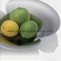 Fruit Plate in 18/8 with Petal Design PT-707  1