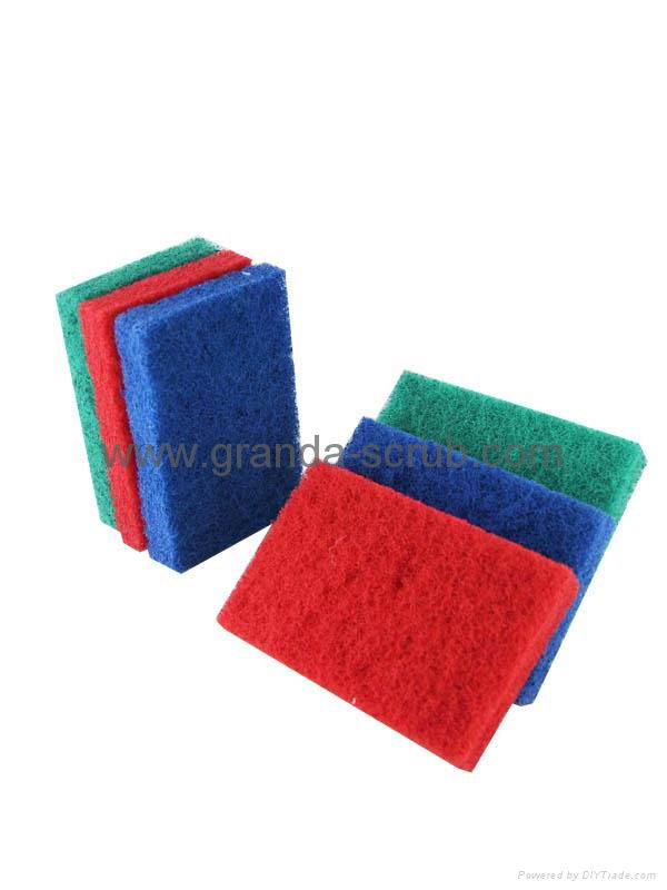 Kitchen Scouring Scrubber