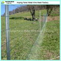 8/90/15 100m roll heavy galvanised wire fencing with star picket for cow