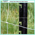 8/90/15 100m roll heavy galvanised wire fencing with star picket for cow 5