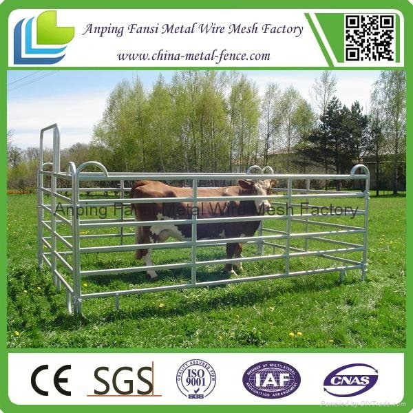 Hot-dipped Galvanized Steel Cattle Pipe Used Corral Panels 