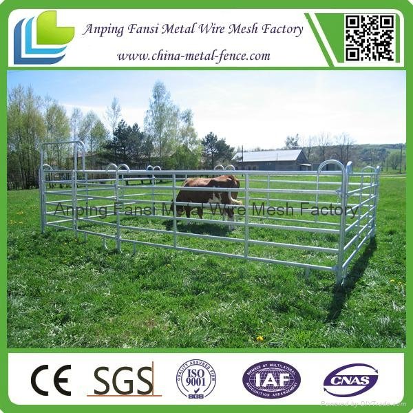 Hot-dipped Galvanized Steel Cattle Pipe Used Corral Panels  4