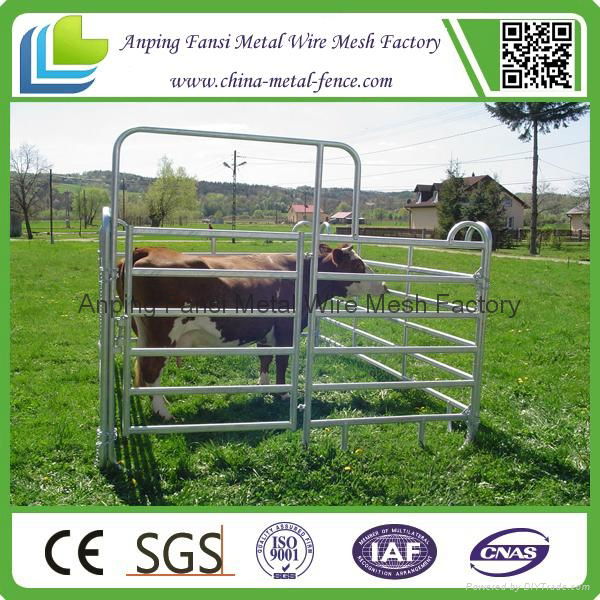 Hot-dipped Galvanized Steel Cattle Pipe Used Corral Panels  3