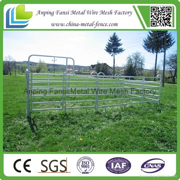 Hot-dipped Galvanized Steel Cattle Pipe Used Corral Panels  5