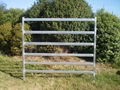 1.8m high hot dipped galvanised Cattle