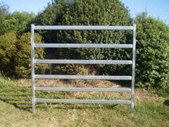 1.8m high hot dipped galvanised Cattle panels Round yard