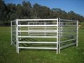 Galvanized livestock horse round yard