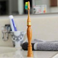 bamboo toothbrush with replacement brush