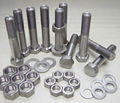 titanium standard parts