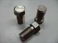 titanium fasteners 2
