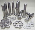 titanium screws 1