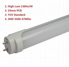 High lum LED T8  tube light 140lm per