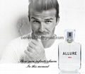 OEM/ODM Wholesale Hot Selling  Brand men Perfume