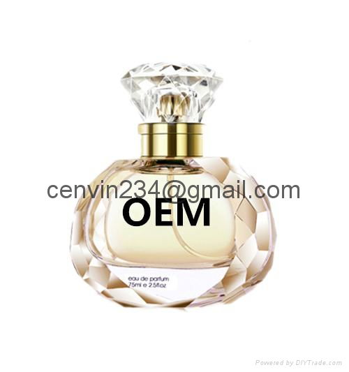 OEM/ODM cheap  Brand women Perfume 2