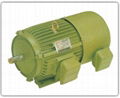 Taiwan Futian vertical three-phase induction motor 1