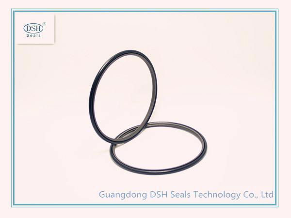 Filled PTFE rod seal 3