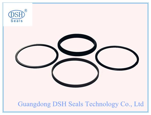 PTFE piston seals, SPGW seal