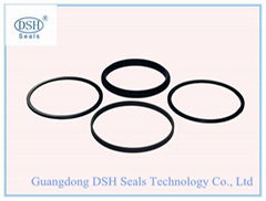 PTFE piston seals, SPGW seal