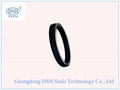 PTFE piston seals, SPGW seal 2