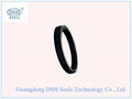 PTFE piston seals, SPGW seal 4