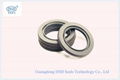 Supply spring energized PTFE seals 1