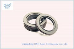 Supply spring energized PTFE seals