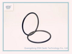 PTFE Step Ring,Rob Seal Ring