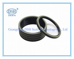 Teflon Piston Seals Hydraulic seals, double oring seals