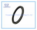 Piston Seals, X-ring, Oring ,PTFE Compact Seals 1