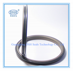 Double oring PTFE wiper 