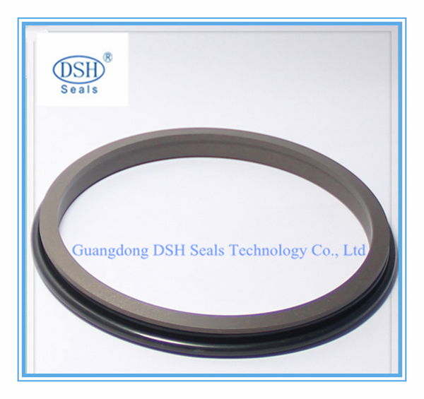 Double oring PTFE wiper  2