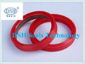 hydraulic dynamic shaft seals 3