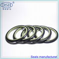 Rotary piston seal ring 1