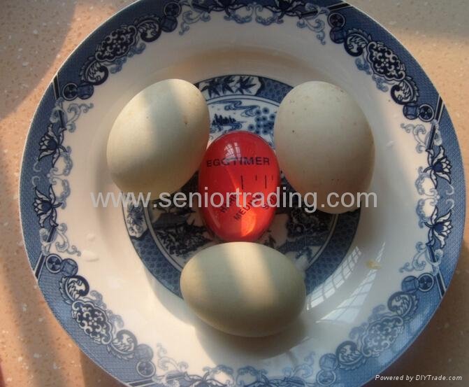 Kitchen Novelty Egg Timer