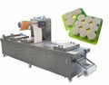 Automatic Cosmetic Product Thermoforming Packaging Machine DZL-P 1