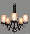 Chandelier light  Pendant light portable light  fluorescent light 2