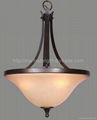 Chandelier light  Pendant light portable light  fluorescent light 3