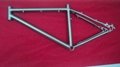 Titanium MTB bicycle frame