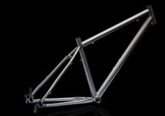 titanium MTB bike frame