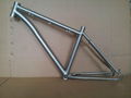 Titanium bicycle frames  1
